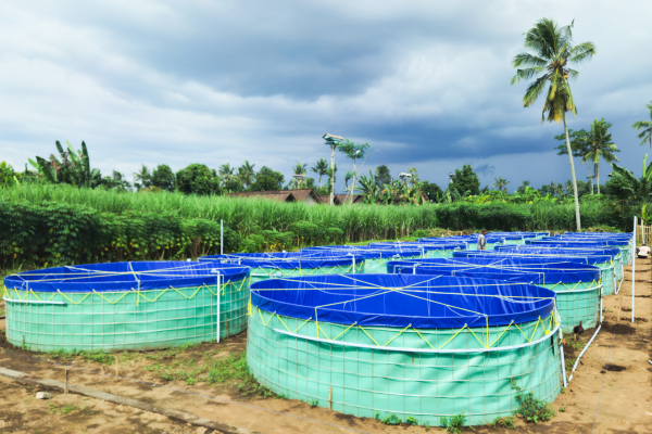 Agriculture & Aquaculture